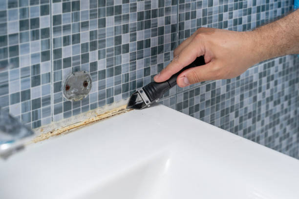 Best Residential Mold Remediation in River Park, FL